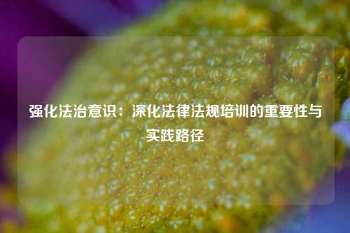 强化法治意识：深化法律法规培训的重要性与实践路径