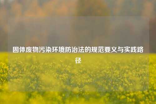 固体废物污染环境防治法的规范要义与实践路径