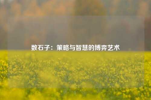 数石子：策略与智慧的博弈艺术