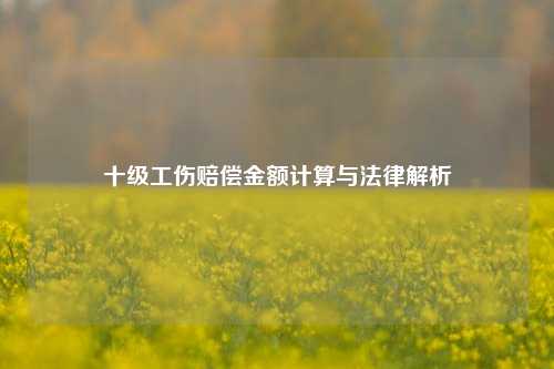 十级工伤赔偿金额计算与法律解析