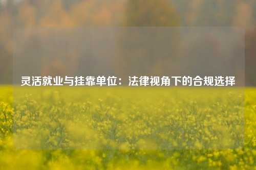 灵活就业与挂靠单位：法律视角下的合规选择