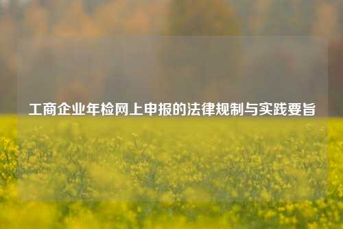 工商企业年检网上申报的法律规制与实践要旨