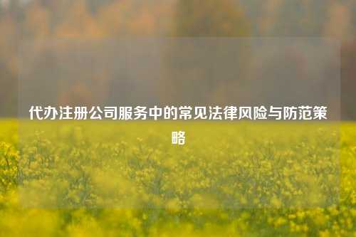 代办注册公司服务中的常见法律风险与防范策略