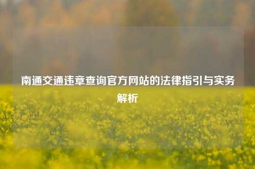 南通交通违章查询官方网站的法律指引与实务解析